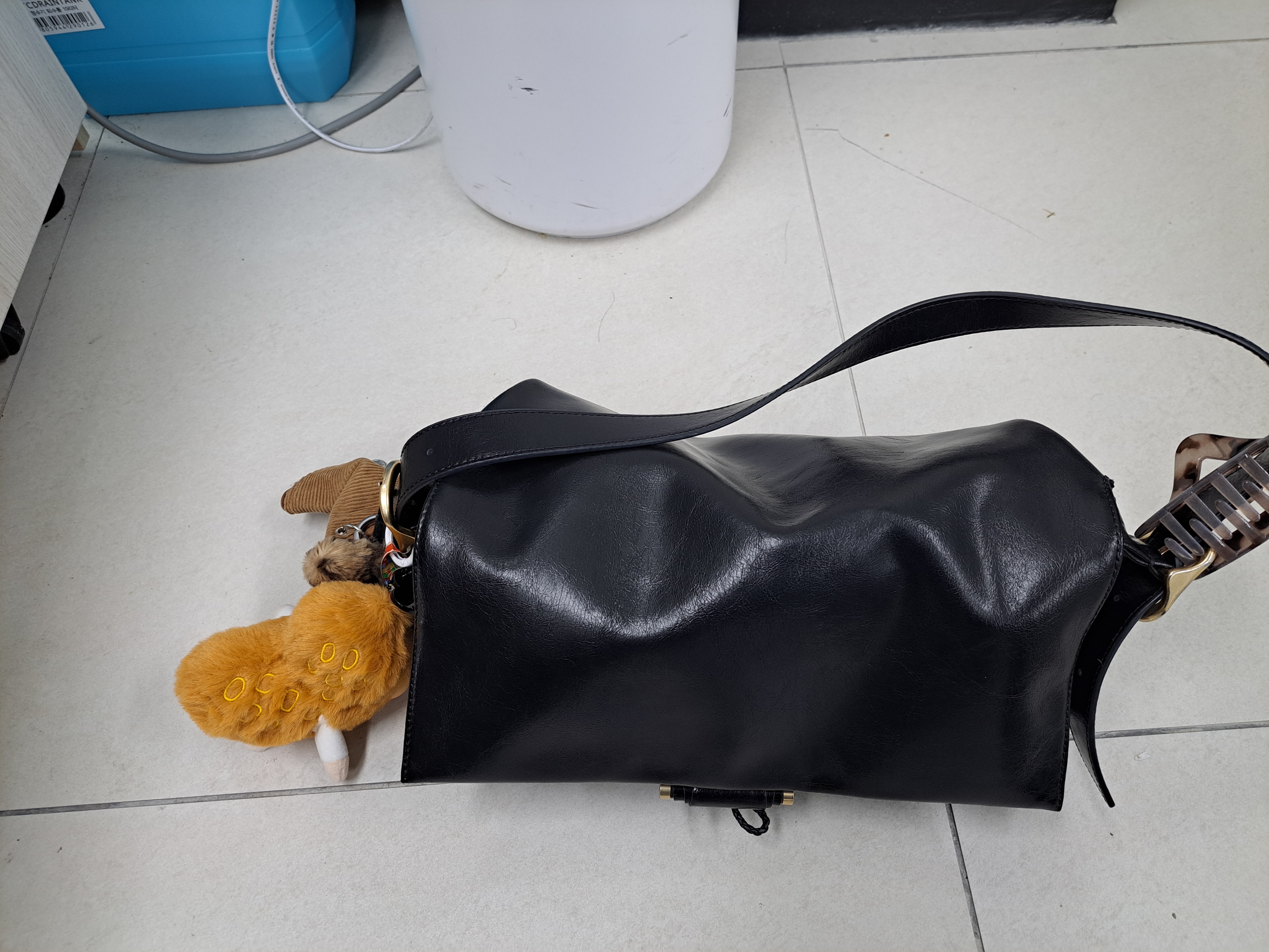 照片
