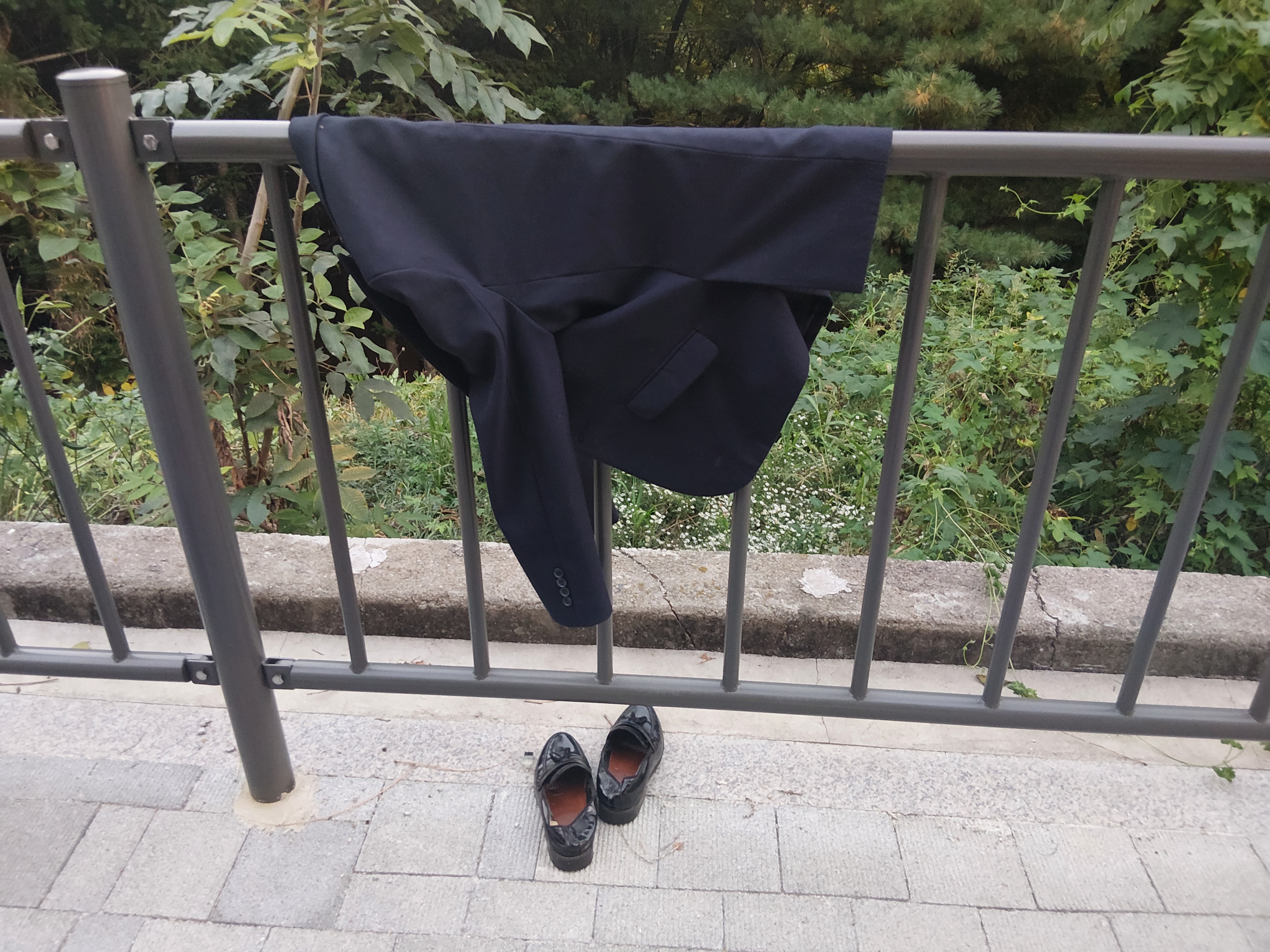 사진