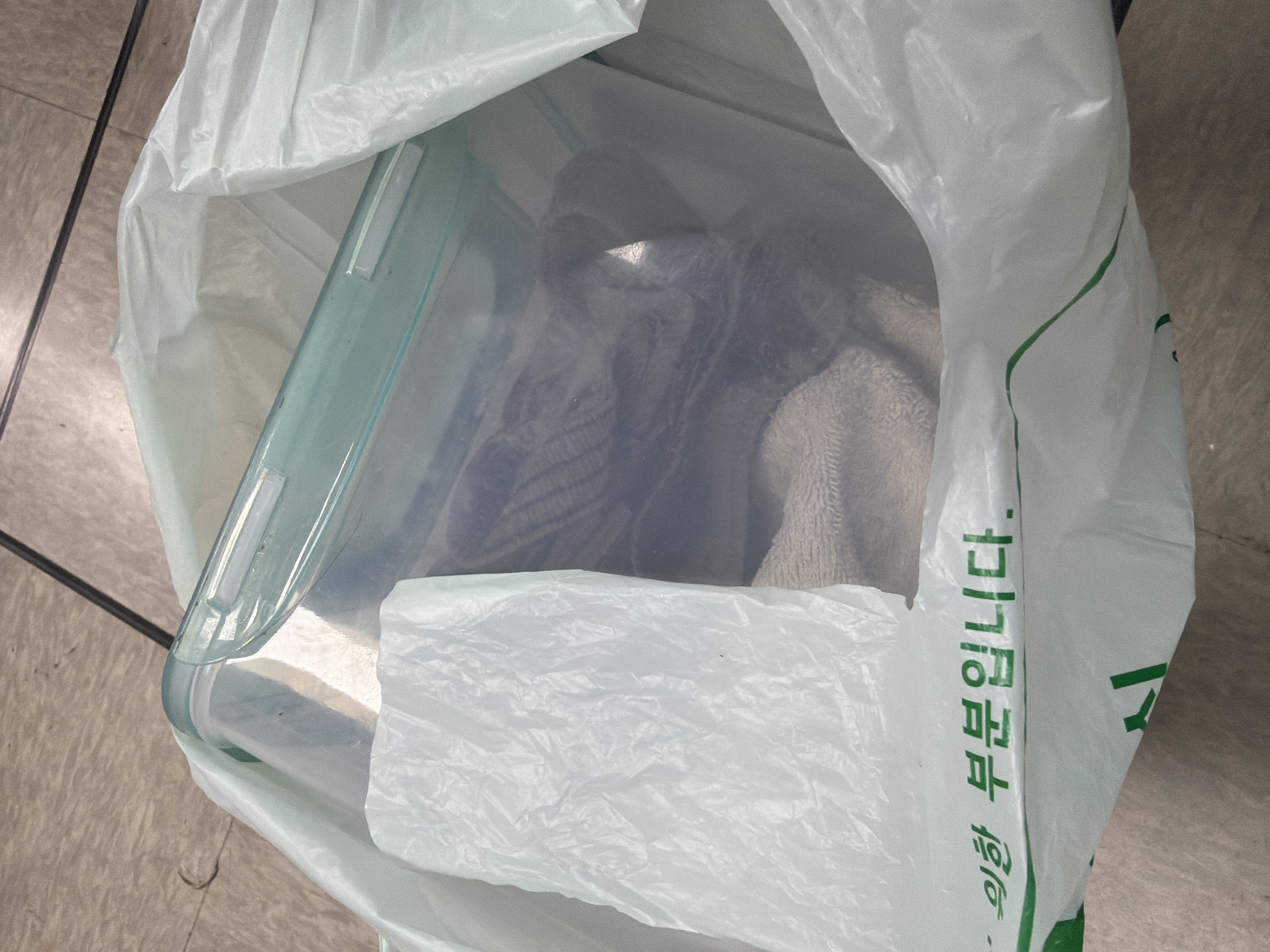 照片